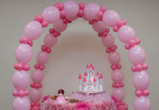 Birthday party organisers